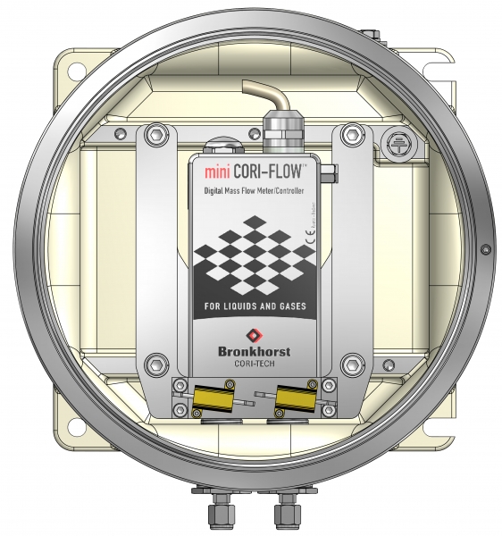 EX-PROOF Coriolis for low flow rates